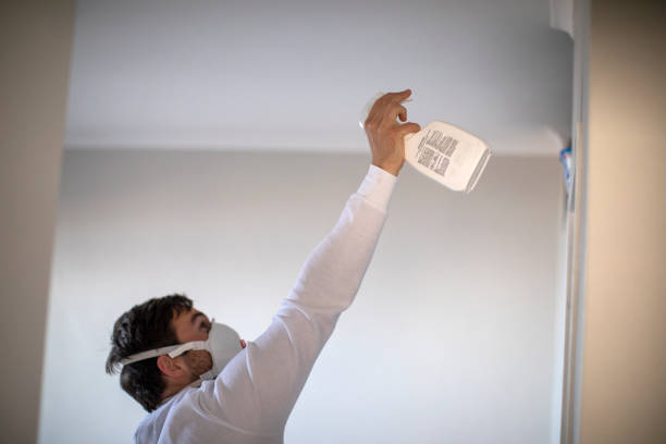 Best Black Mold Remediation in Palm Beach Gardens, FL