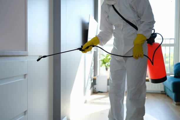 Best Mold Remediation for Specific Building Types in Palm Beach Gardens, FL