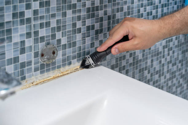 Best Residential Mold Remediation in Palm Beach Gardens, FL